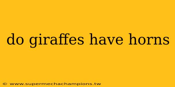 do giraffes have horns