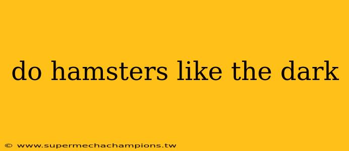 do hamsters like the dark