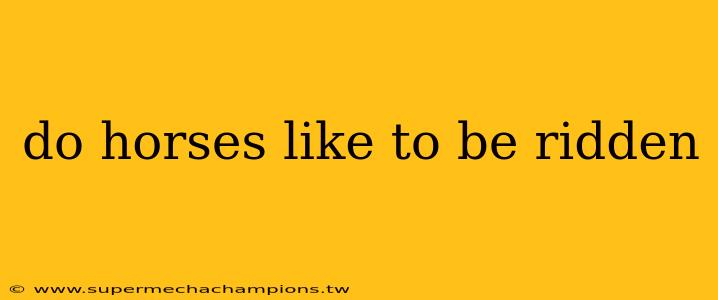 do horses like to be ridden