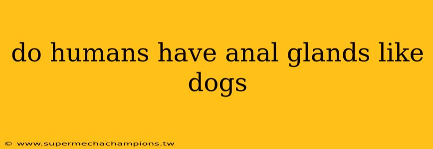 do humans have anal glands like dogs