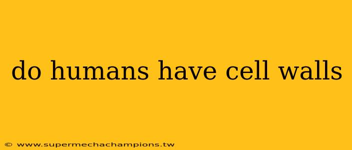 do humans have cell walls