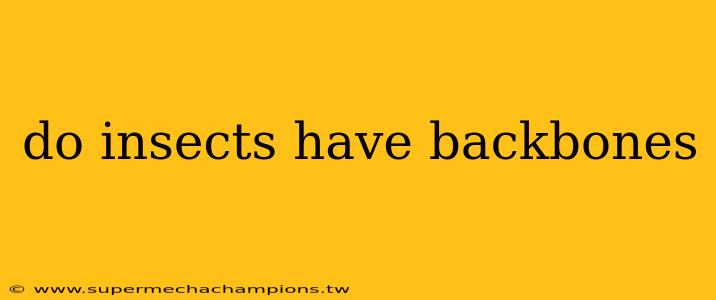 do insects have backbones