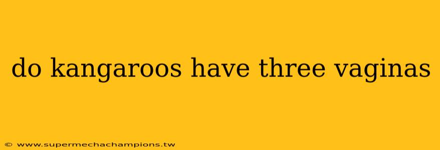 do kangaroos have three vaginas