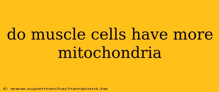 do muscle cells have more mitochondria