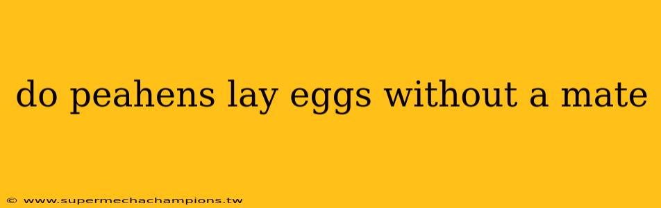 do peahens lay eggs without a mate