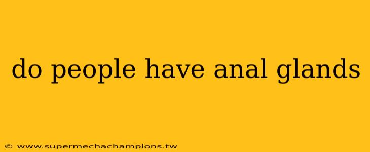 do people have anal glands