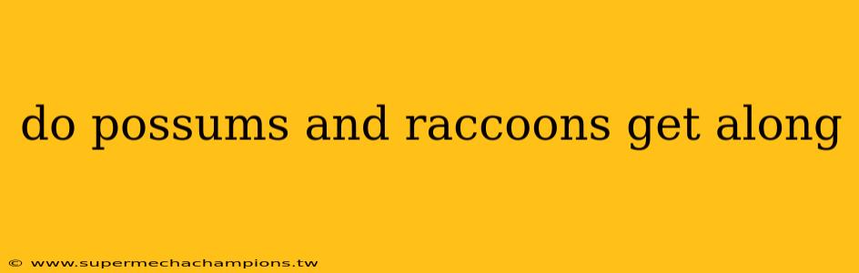do possums and raccoons get along