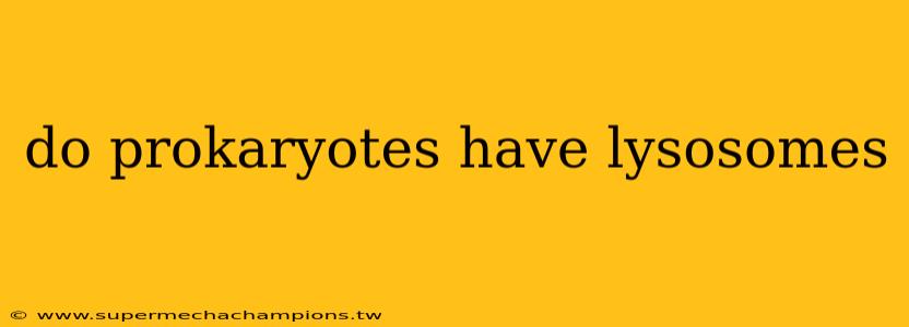 do prokaryotes have lysosomes