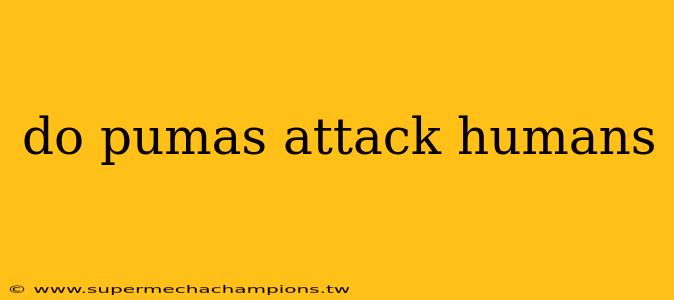 do pumas attack humans