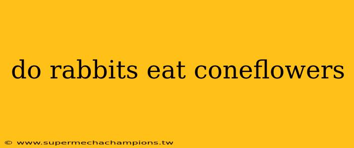 do rabbits eat coneflowers