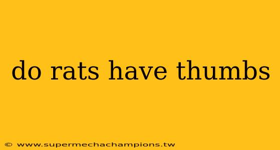 do rats have thumbs