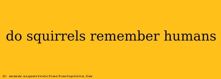 do squirrels remember humans