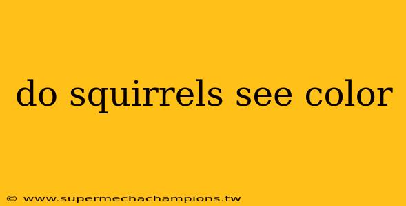 do squirrels see color