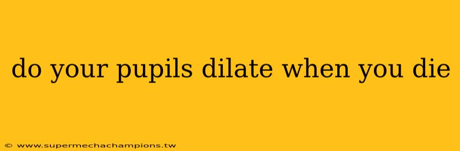 do your pupils dilate when you die