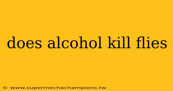 does alcohol kill flies