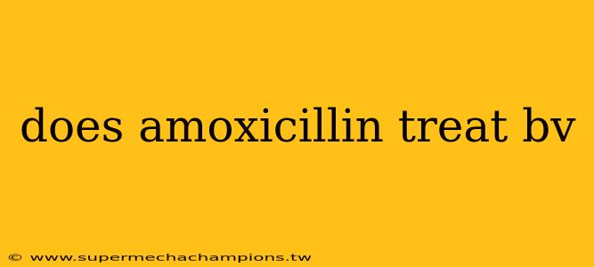 does amoxicillin treat bv