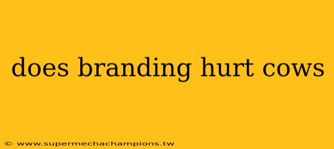 does branding hurt cows