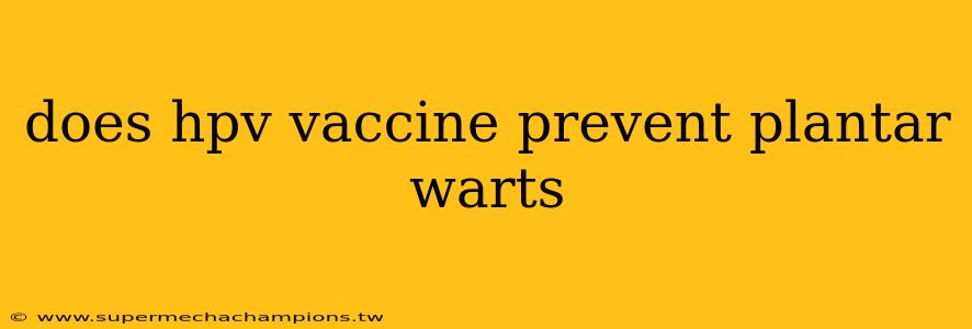 does hpv vaccine prevent plantar warts