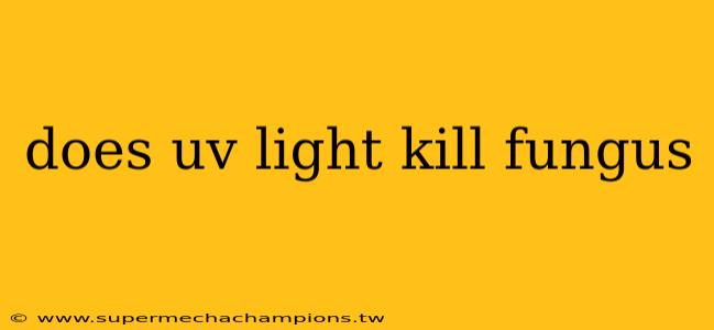 does uv light kill fungus