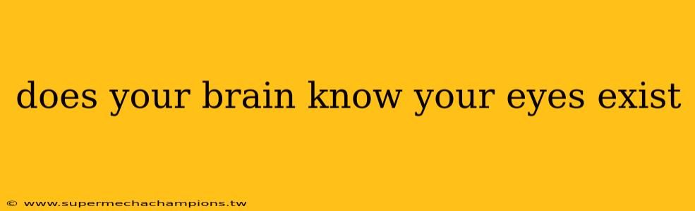 does your brain know your eyes exist