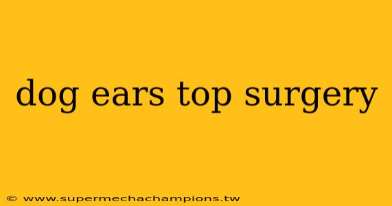 dog ears top surgery