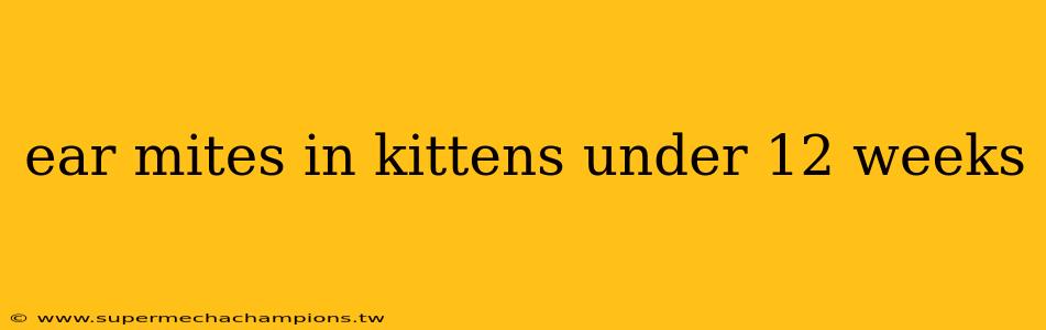 ear mites in kittens under 12 weeks