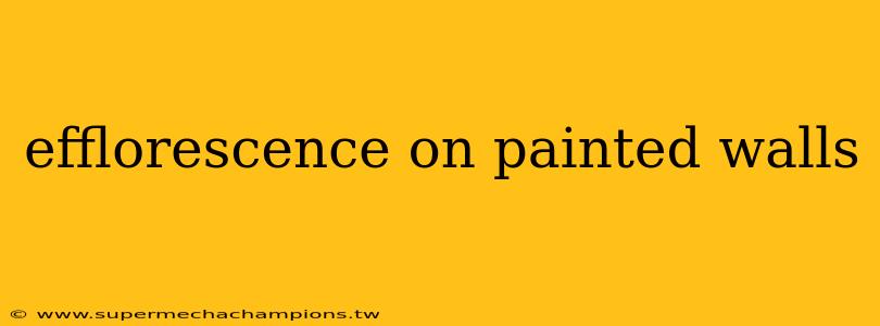 efflorescence on painted walls