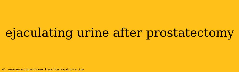 ejaculating urine after prostatectomy