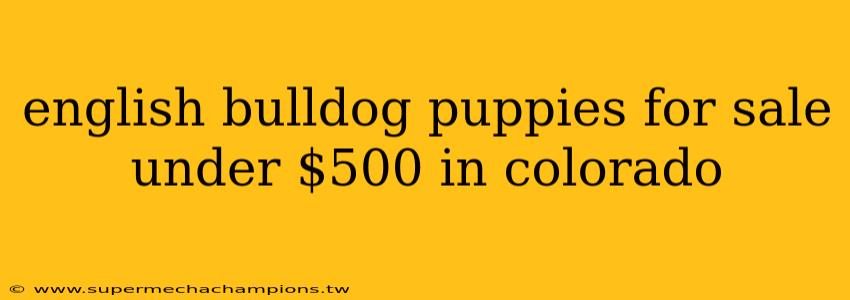 english bulldog puppies for sale under $500 in colorado