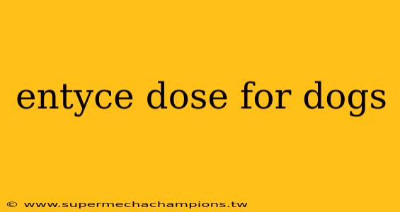 entyce dose for dogs