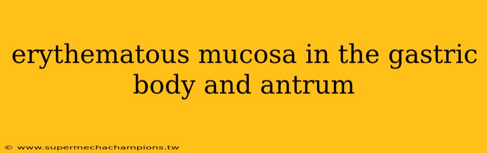 erythematous mucosa in the gastric body and antrum