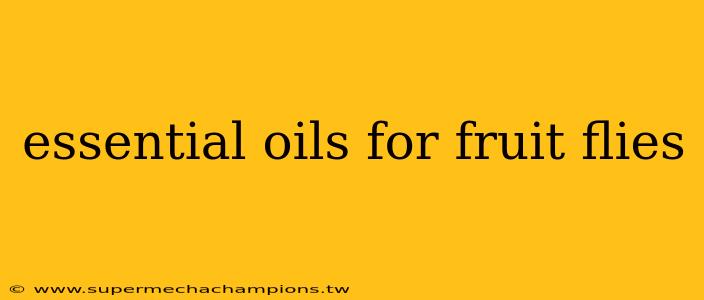 essential oils for fruit flies