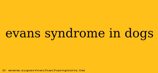 evans syndrome in dogs