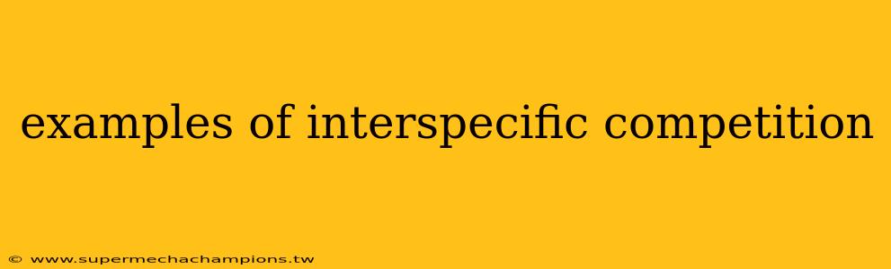 examples of interspecific competition
