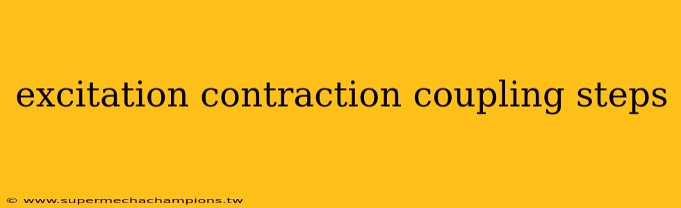 excitation contraction coupling steps