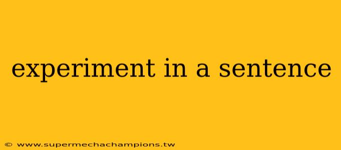 experiment in a sentence