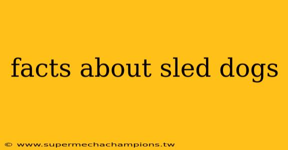 facts about sled dogs