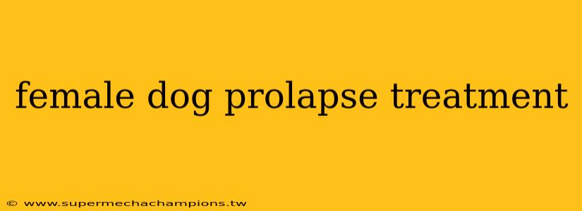 female dog prolapse treatment