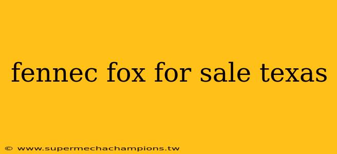 fennec fox for sale texas