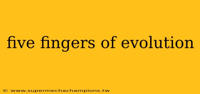 five fingers of evolution