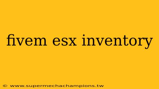 fivem esx inventory