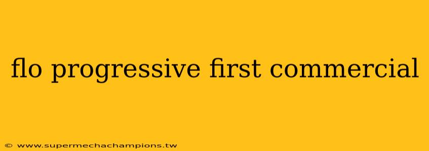 flo progressive first commercial