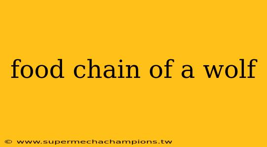 food chain of a wolf