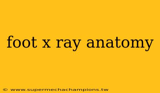 foot x ray anatomy