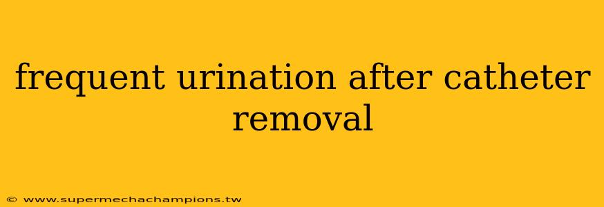 frequent urination after catheter removal