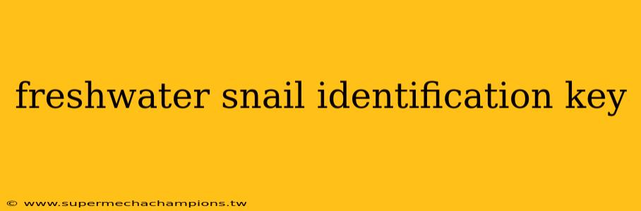 freshwater snail identification key