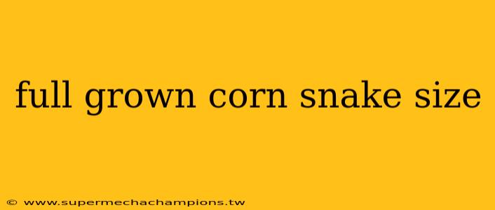 full grown corn snake size