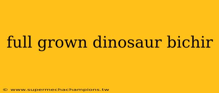 full grown dinosaur bichir