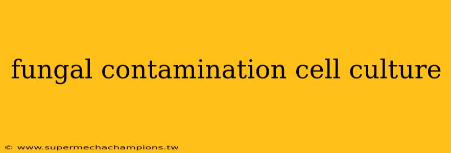 fungal contamination cell culture