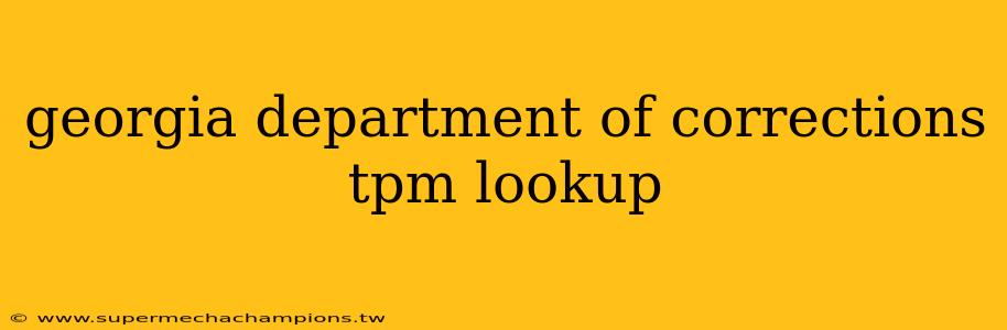 georgia department of corrections tpm lookup